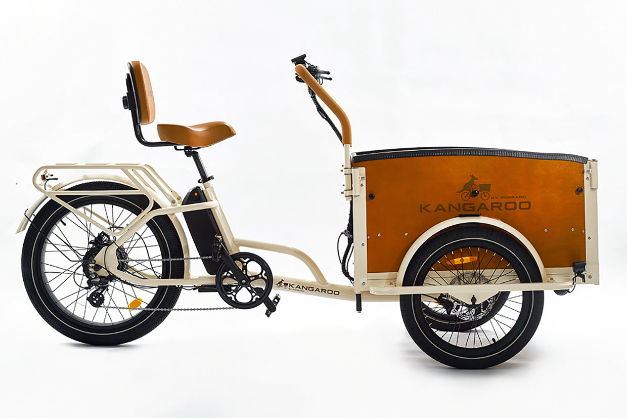 Perraro Kangaroo Cargo Eectric Trike