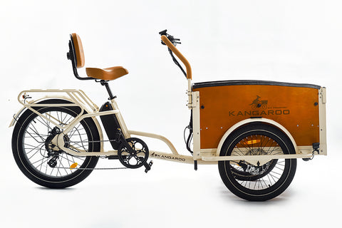 Perraro Kangaroo Cargo Eectric Trike