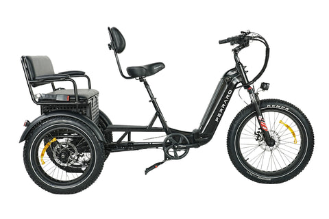 Ridex Passenger Seat Electric Trike