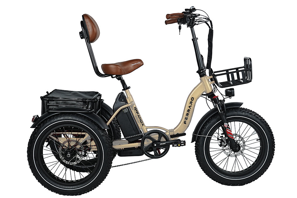 Perraro Smart Electric Trike – Perraro Electric Bike
