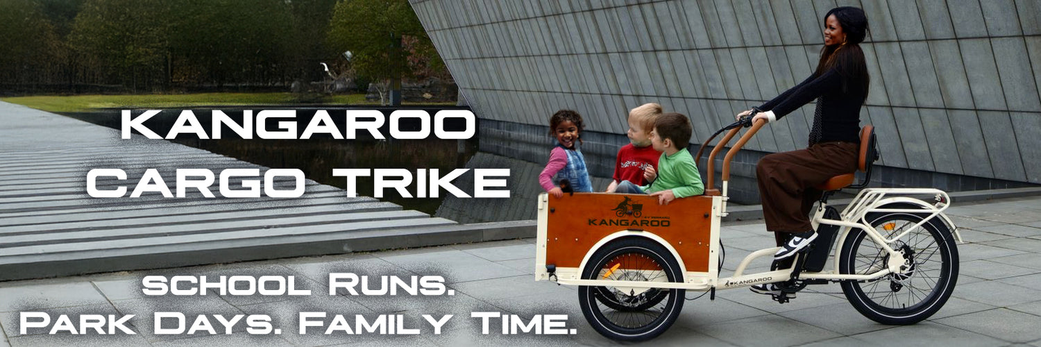 Perraro Electric Bike